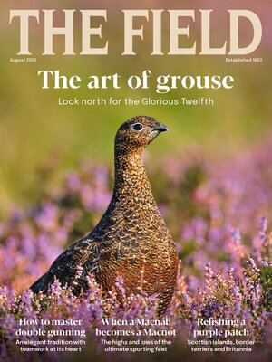 The Field - Magazine